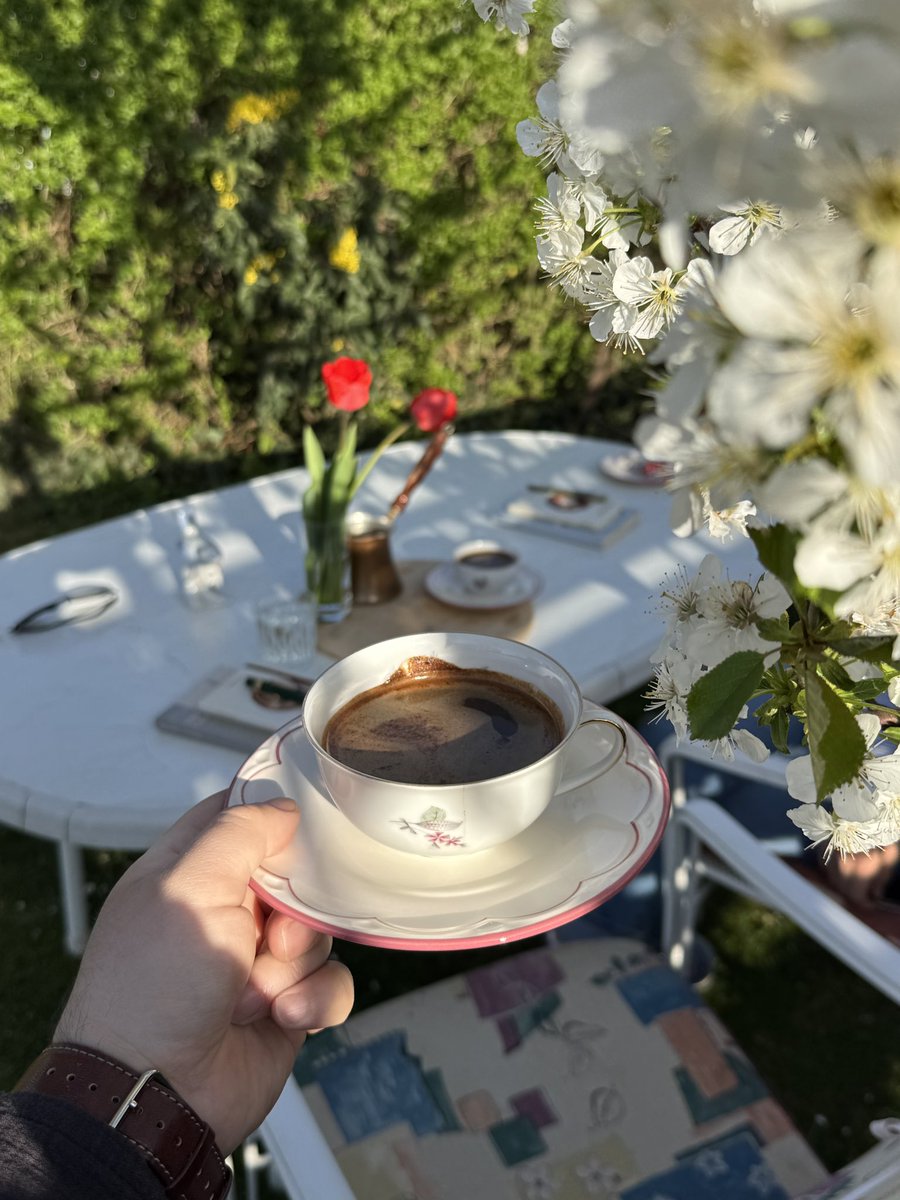 gezenhikayeci's tweet photo. Kiraz ağacının gölgesinde 🌿 https://t.co/4Ogpae3B5n