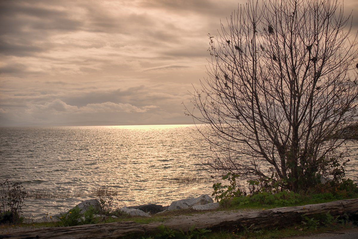 Stephanie Alexandra tweet media