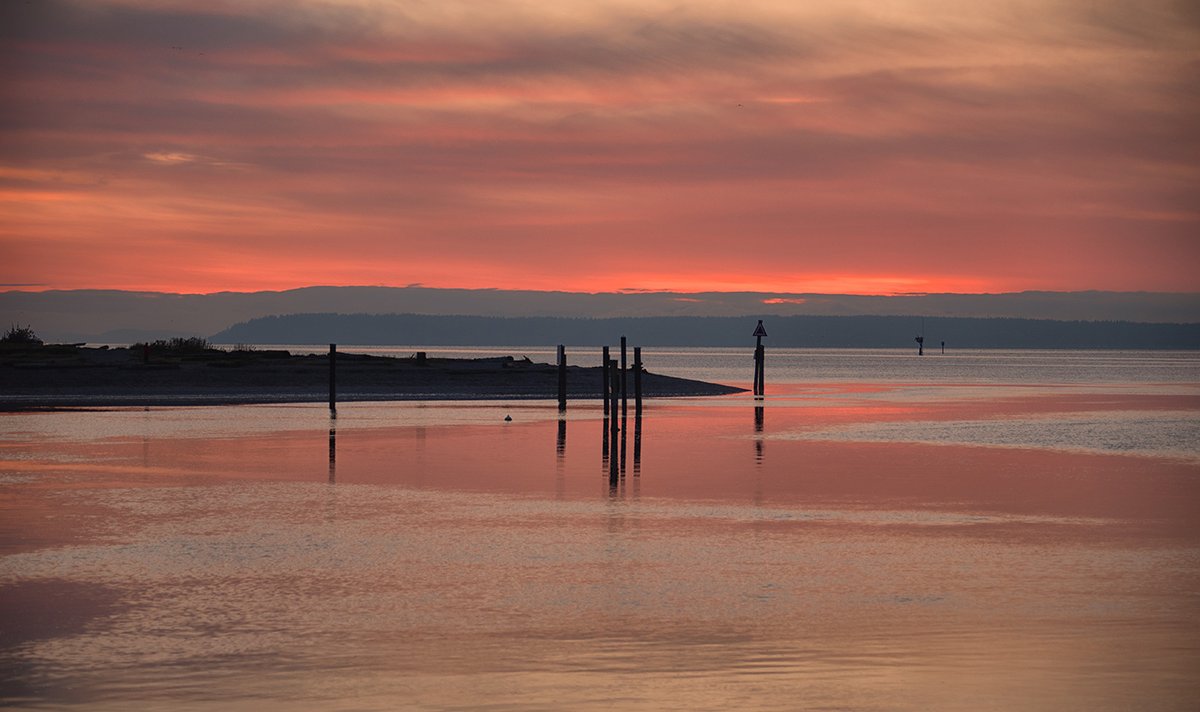 Stephanie Alexandra tweet media