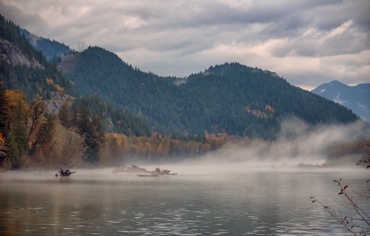 Stephanie Alexandra tweet media