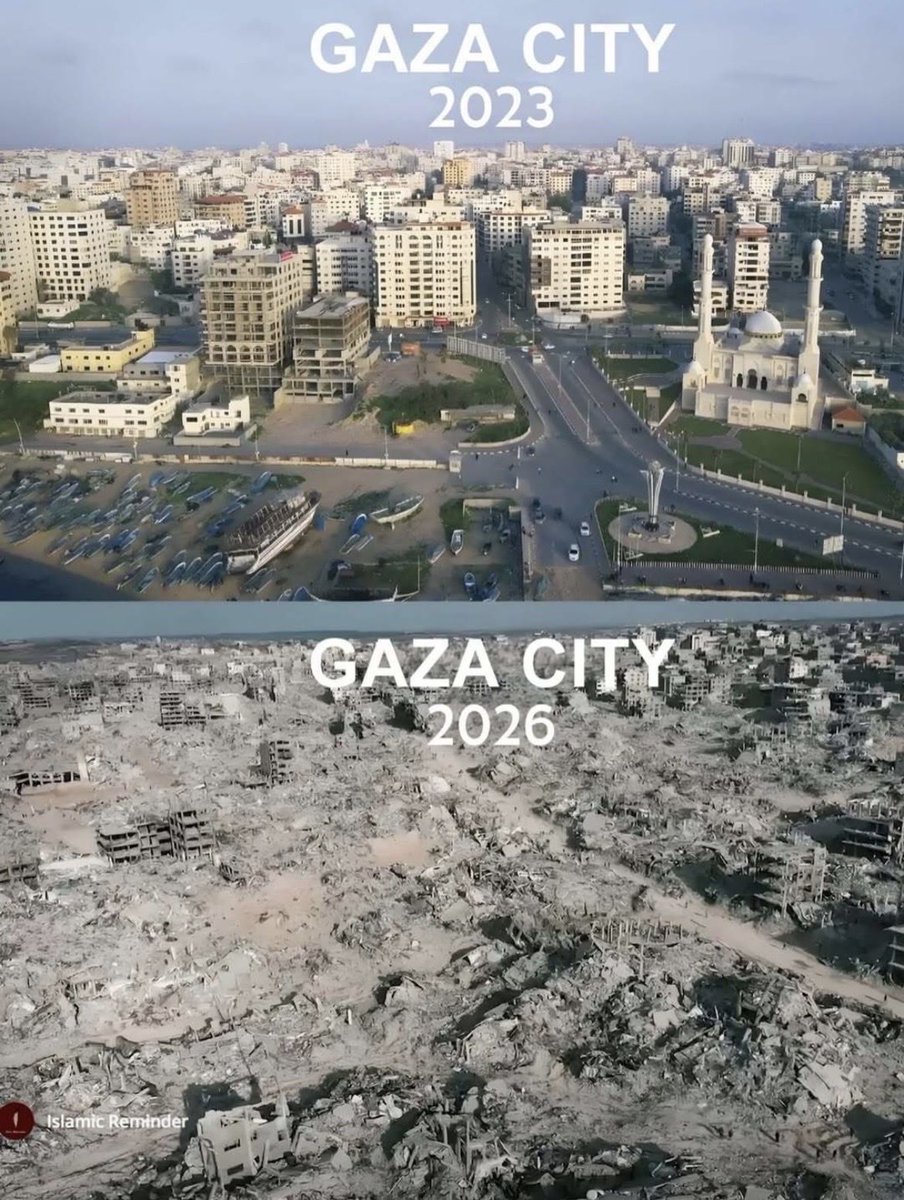 Joss🇪🇺 tweet media