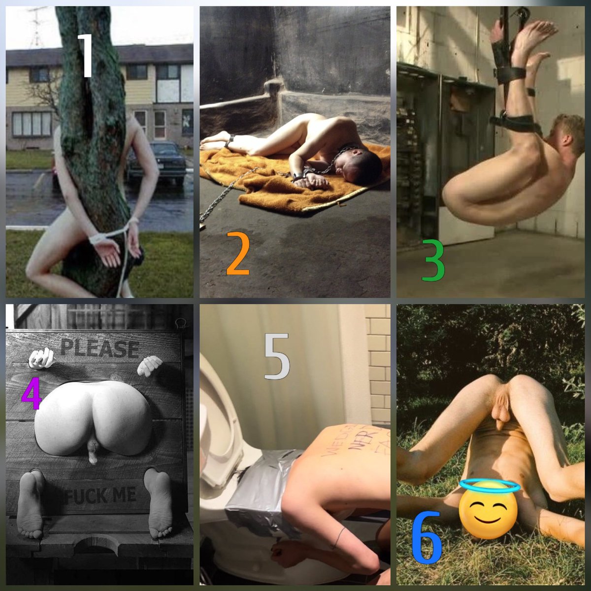 𝙔-𝘼𝙡𝙥𝙝𝙖 tweet media