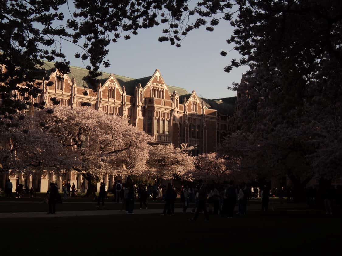 uwcherryblossom's tweet photo. Your photos make us feel famous! We’ll be back to steal the spotlight next year...😘🌸
 
Thanks for sharing the love, see you next spring👋🫶🏼 https://t.co/uA3FV2rXT1