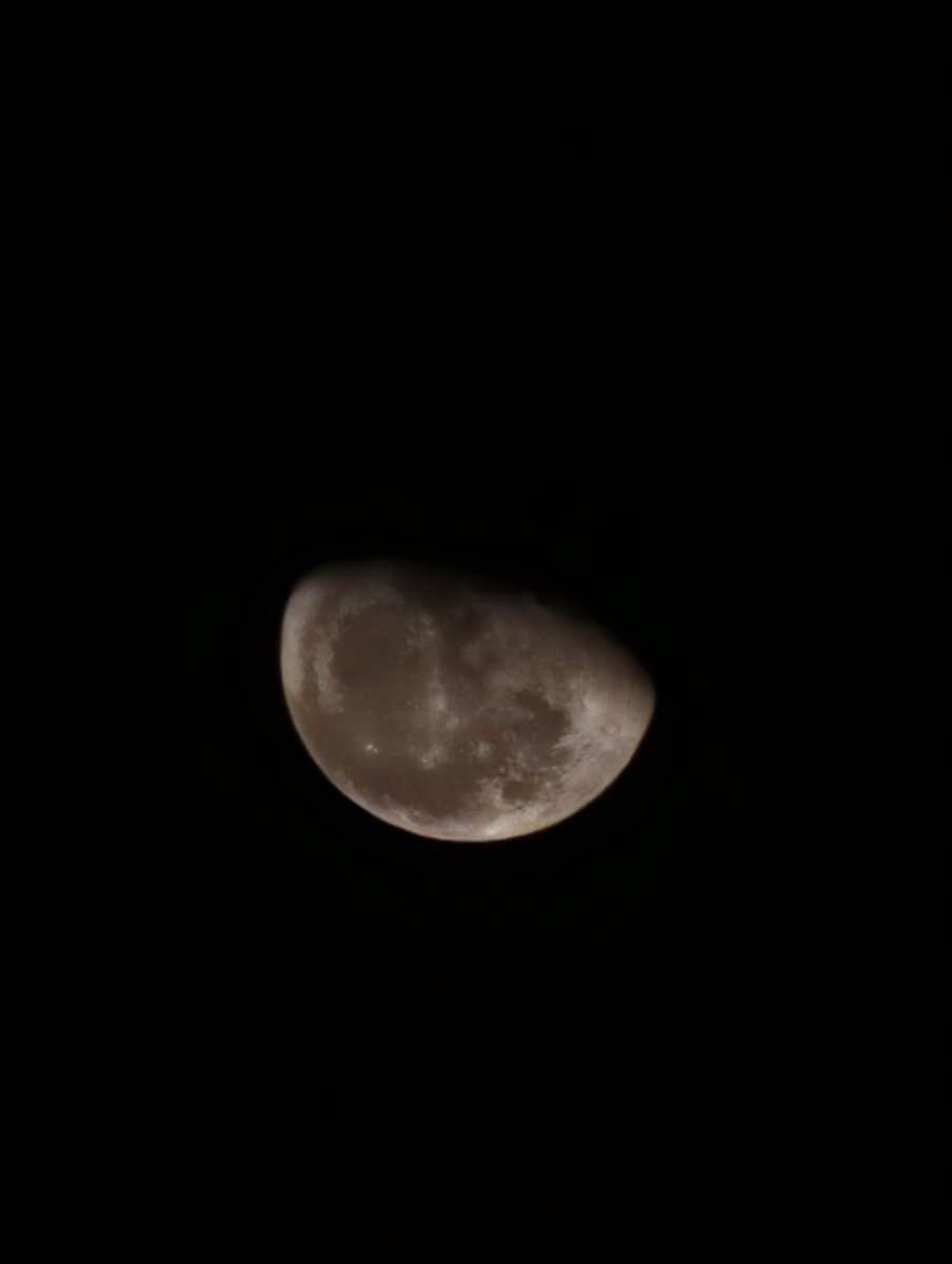vynoria's tweet photo. moonlit. https://t.co/R4sUFD0ALW