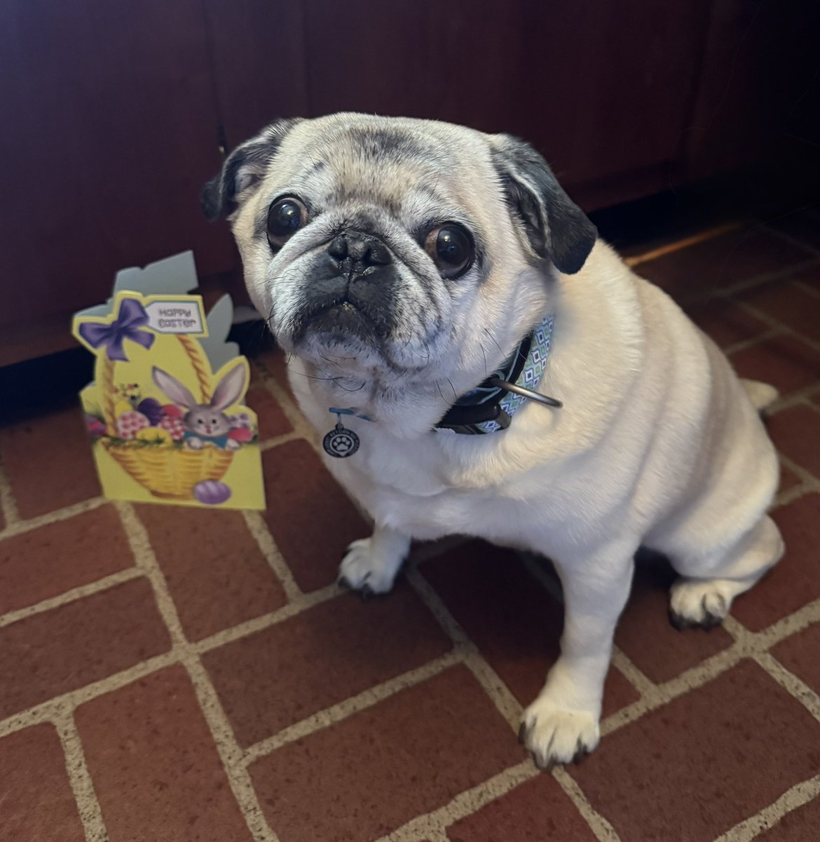 Wendy, Amelia & Angel Ginger❤️ tweet media