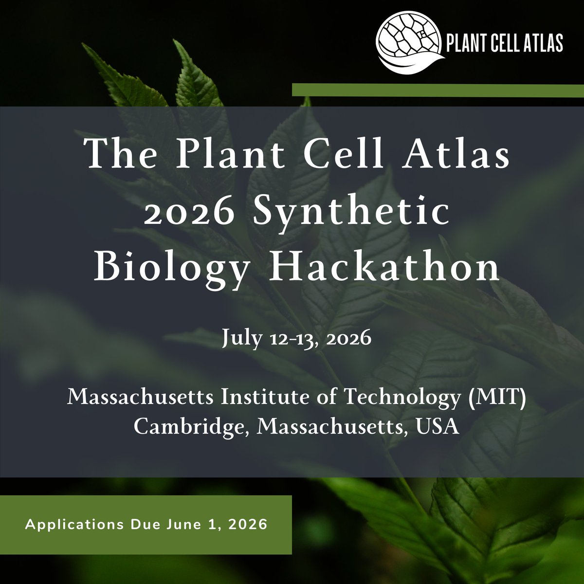 PlantCellAtlas.bsky.social tweet media