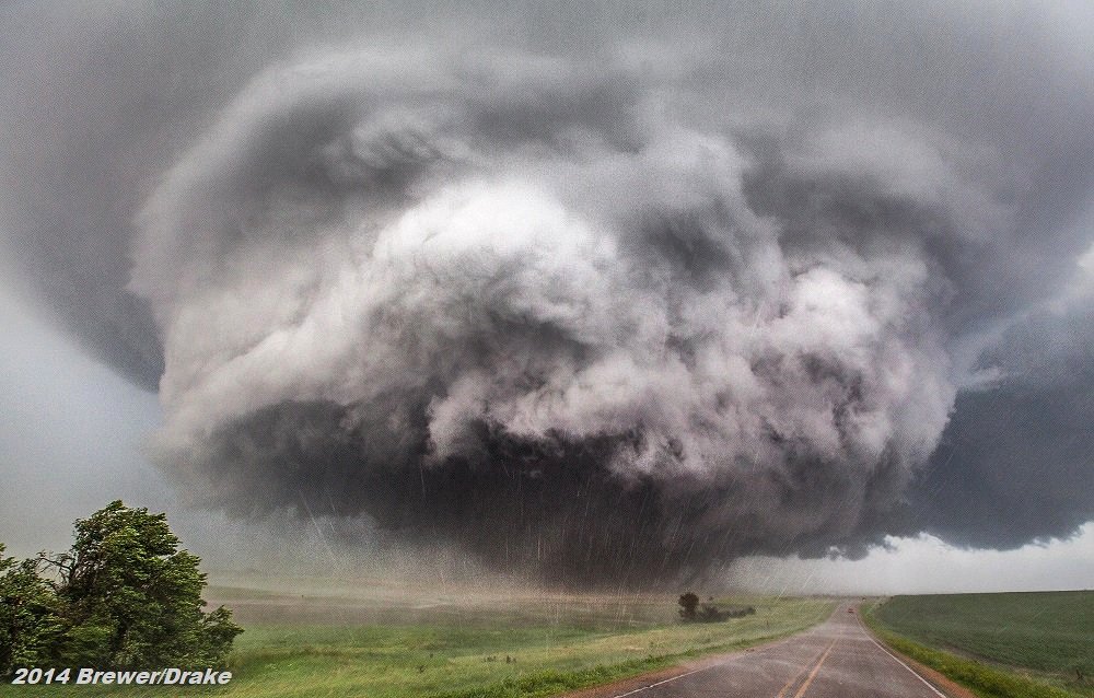 Simon Brewer tweet media