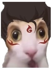 ✦𝓶𝓪𝓰𝓲𝓬𝓬𝓪𝓻𝓭✧ tweet media