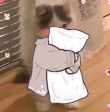 Thᥱ ᥣᥲdყ of thᥱ Sᥱᥲ, Lᥲιdᥲh tweet media