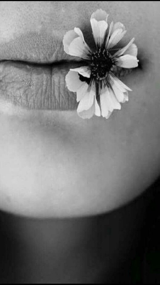 Brigitte tweet media