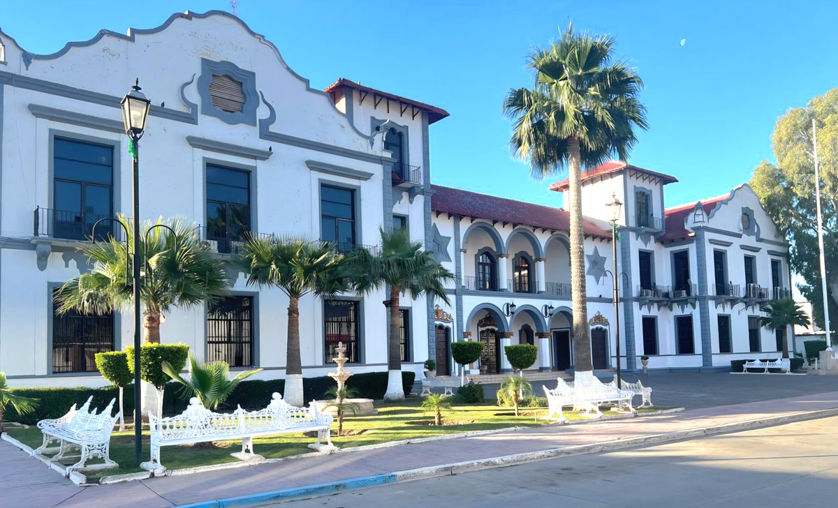 Ricardo Ayala A. tweet media