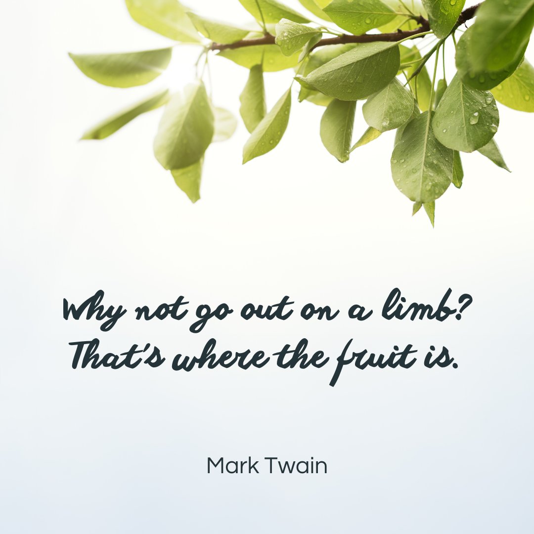 writeonfrisco's tweet image. Stretch the limits of your writing skills with Write On!'s workshops and events!

For more info, visit writeonfrisco.com⁠ or call us at (214) 915-2155

#creativewriting #amwriting #writingcommunity #frisco #communityimpact #writeonfrisco #homeschooling #tutoring #writeon