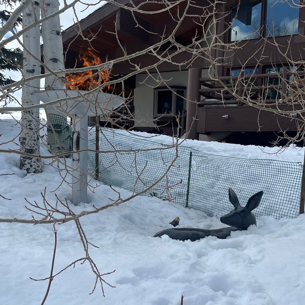 Todd Bennett tweet media