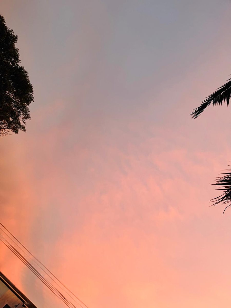 #Revolution tweet media