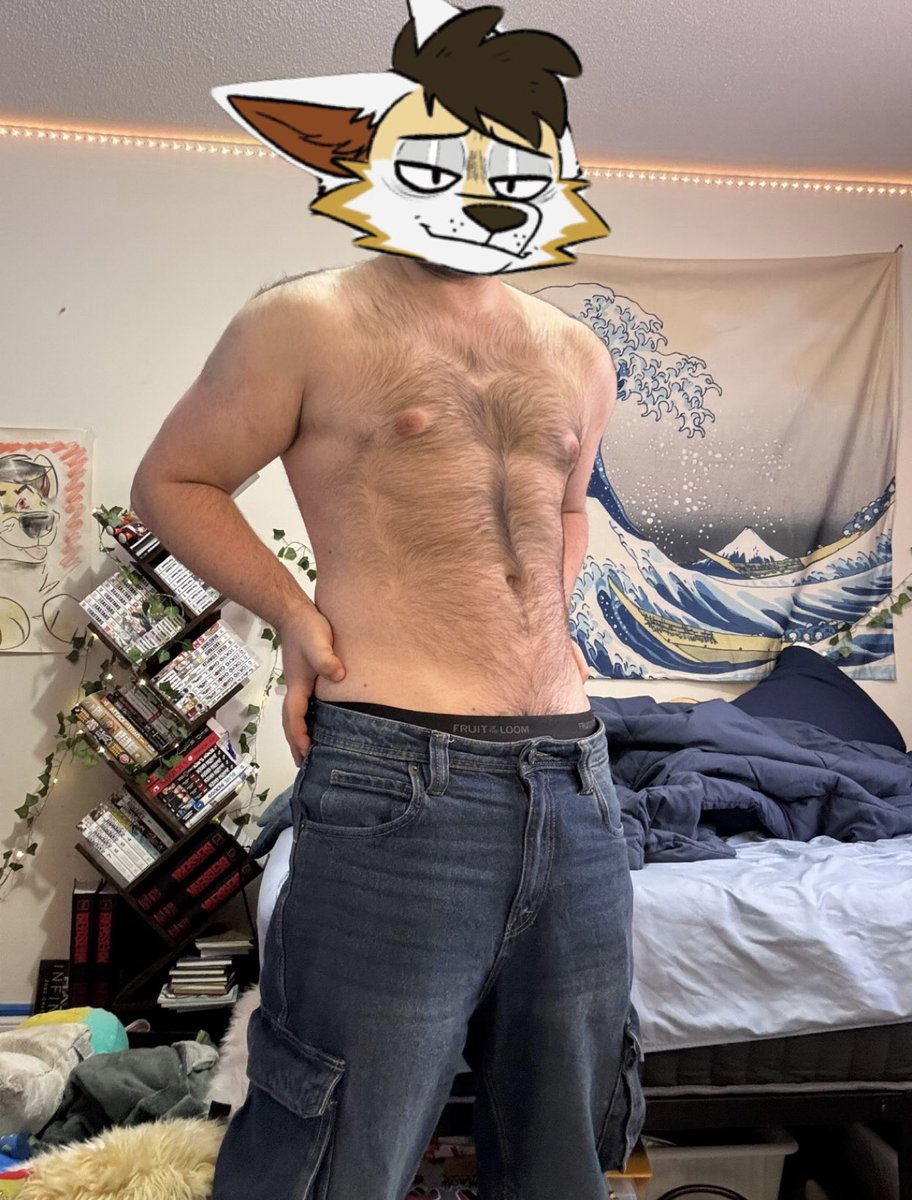 Kai! Woof 🔜 🎾 tweet media