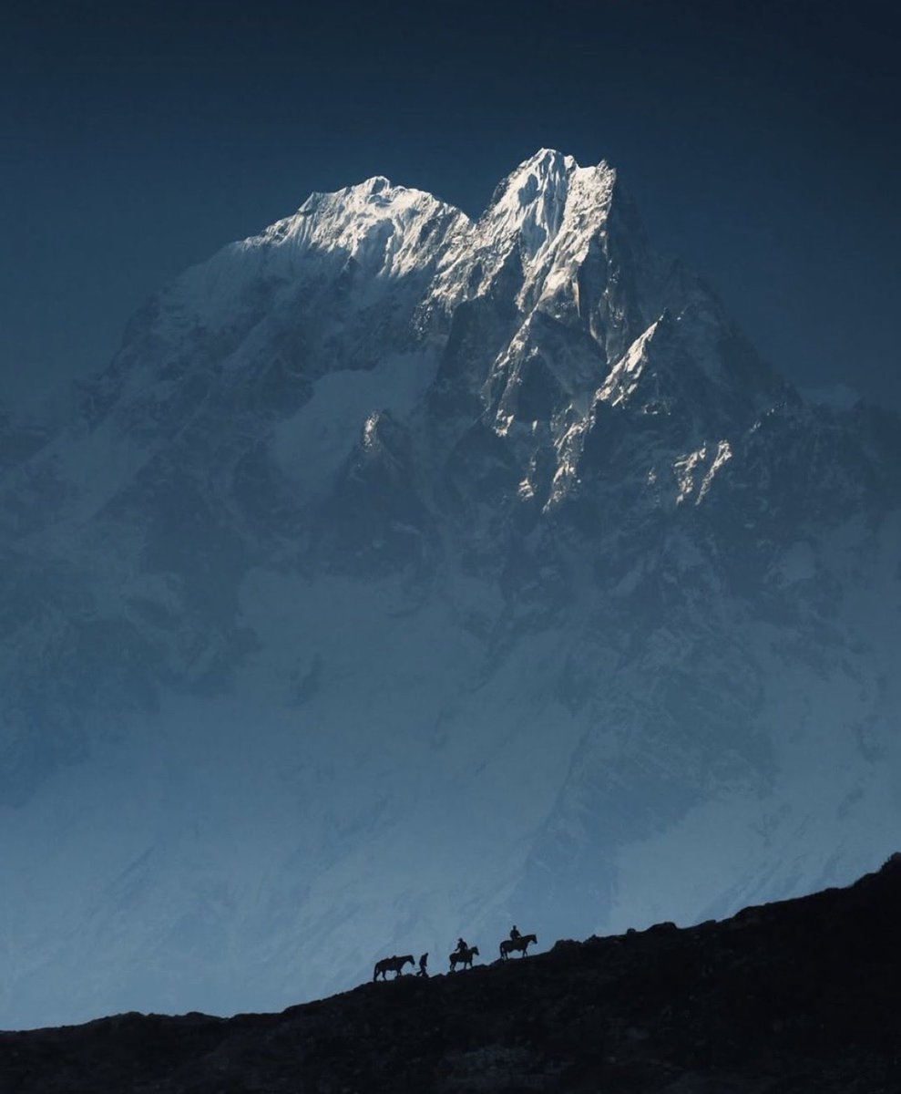 IAN PLAYER “Out of Africa” tweet media