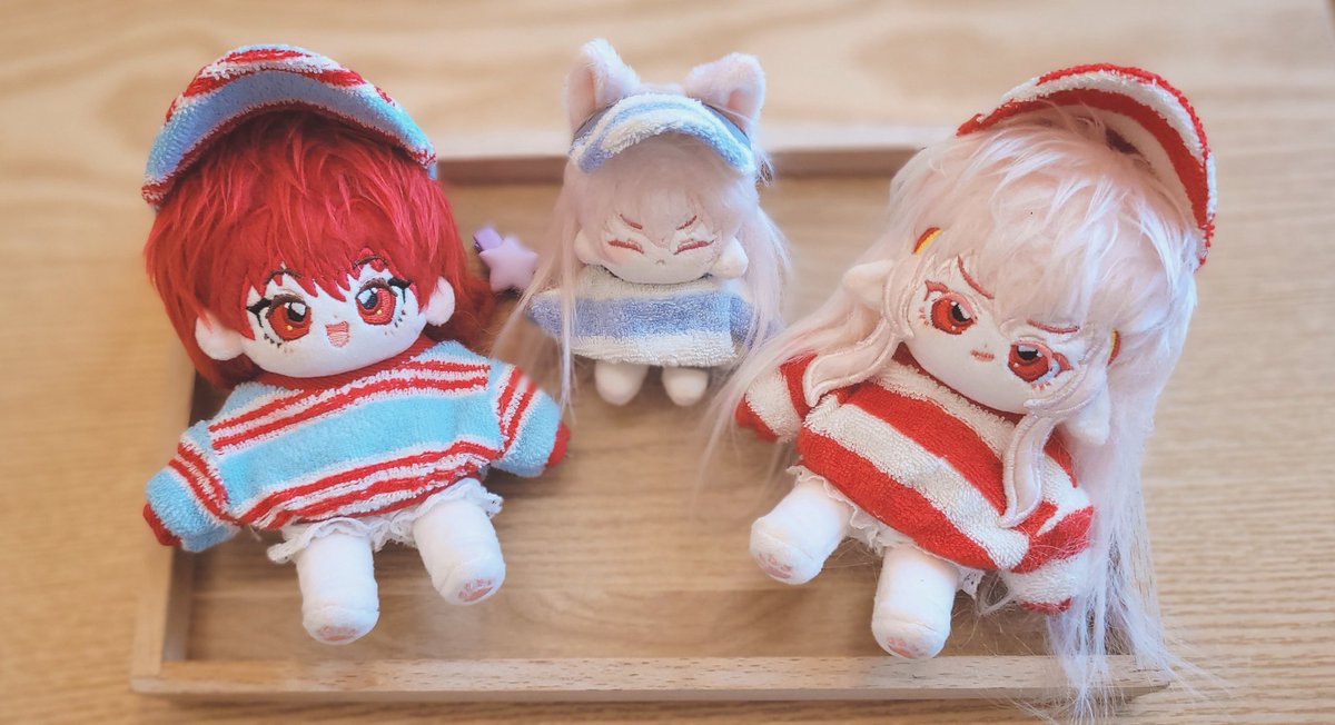 셸로💫 tweet media