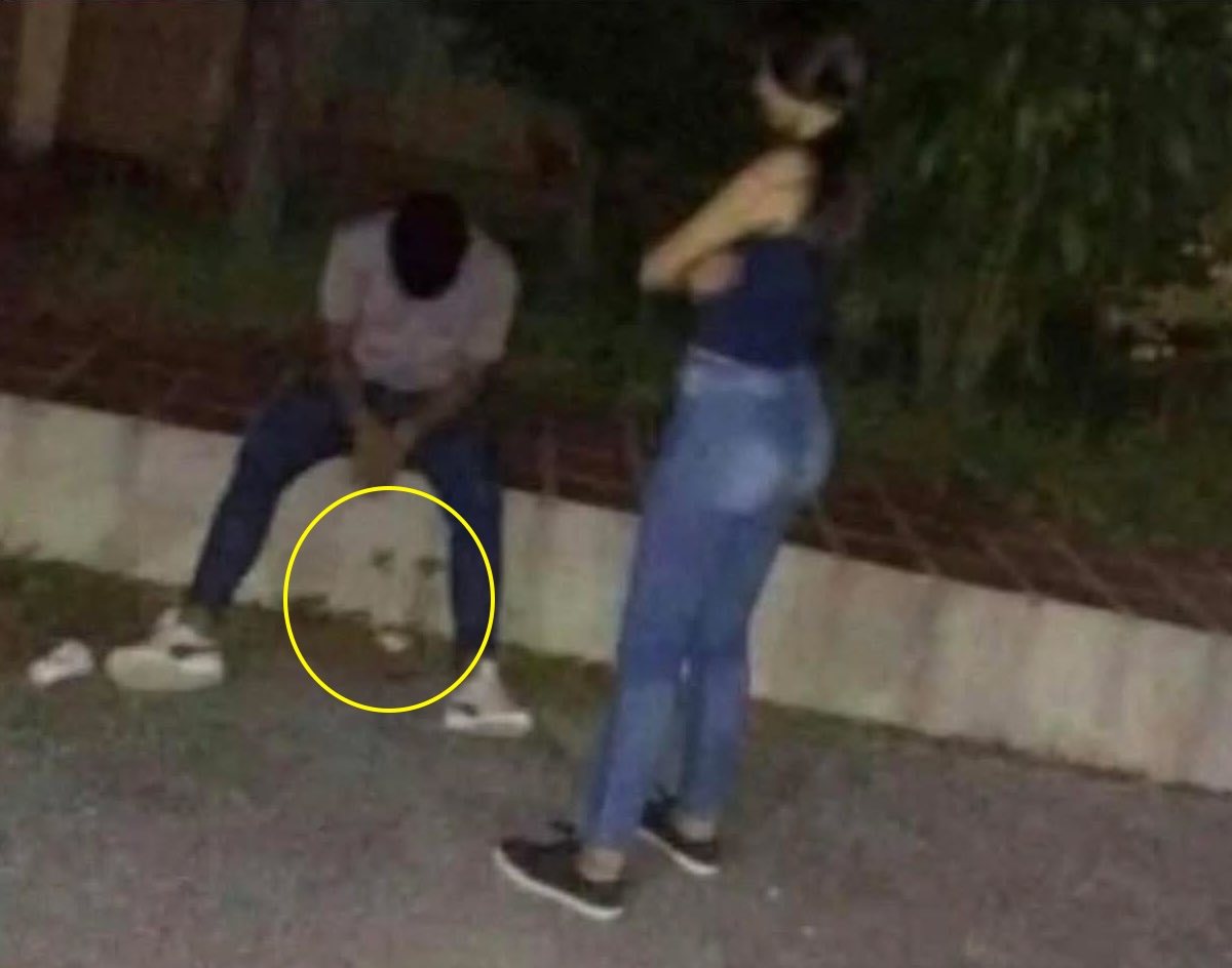 VerticalRidge tweet media