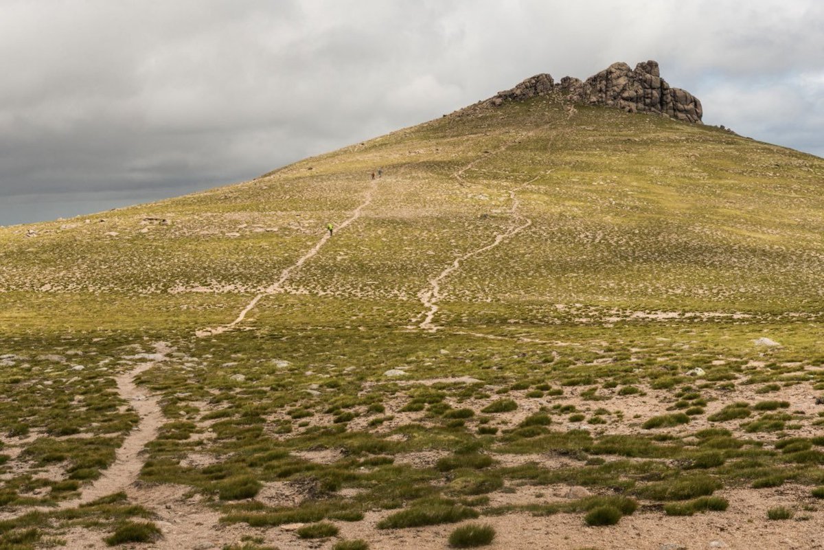 Iain Cameron tweet media