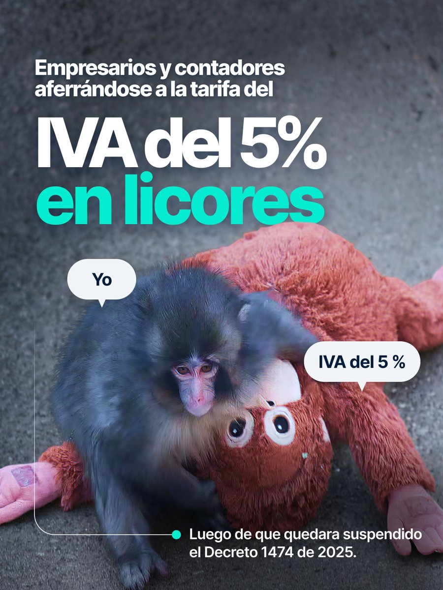 Alegra tweet media