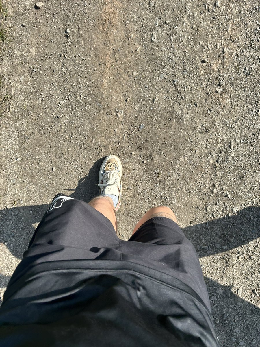 Bradley Boy tweet media