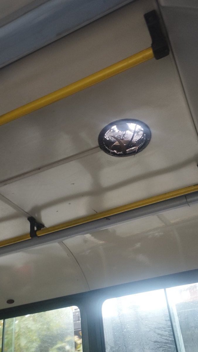 natymdp09's tweet photo. Colectivo con aire acondicionado, ventilación cruzada y ducha incorporada cuando llueve. Un servicio de lujo… sobre todo cuando el pasaje suba a  2500 y siga todo igual.

#mardelplata https://t.co/jbWSAgnrH2