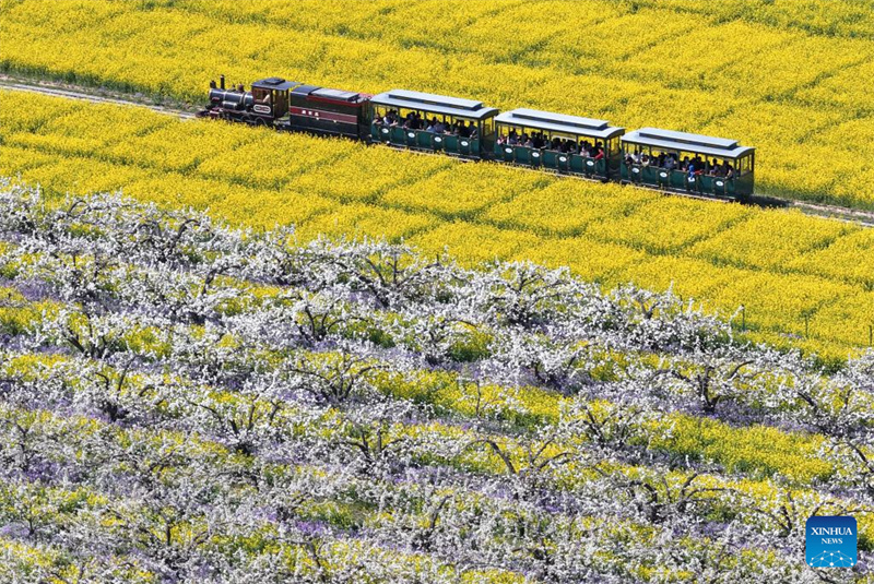 Li Zhigang 李志刚 tweet media