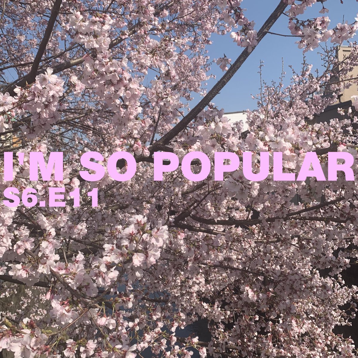 zach 𝐥𝐚𝐧𝐠𝐥𝐞𝐲 chi chi 末だ見ぬ花 tweet media