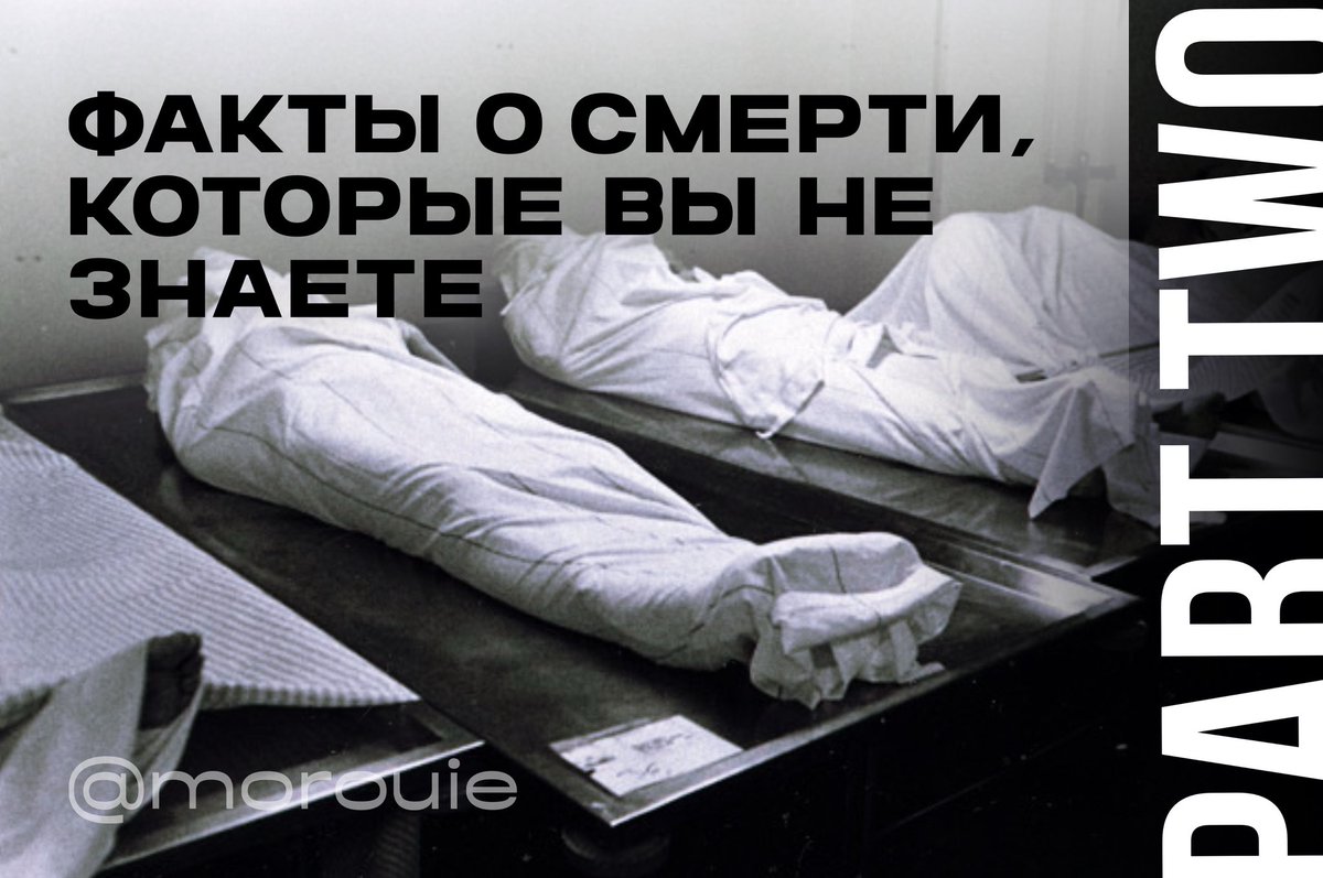 NecroТанатопрактик tweet media