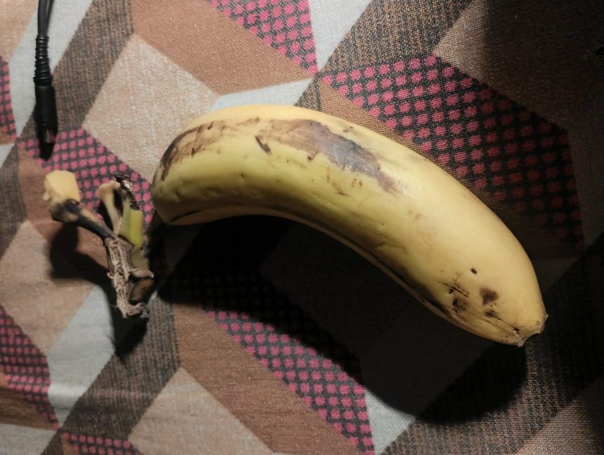 Maya 3.0 tweet media