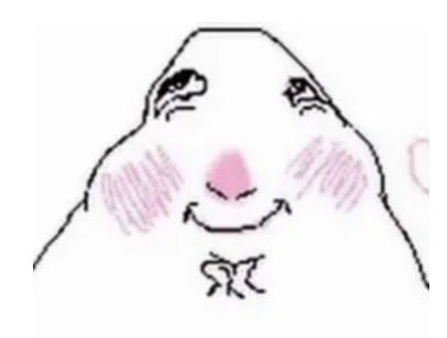 heta⁷ 🎀 tweet media