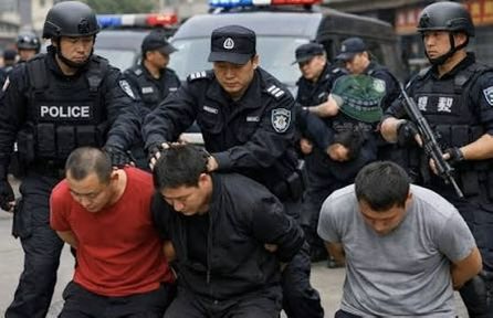 تحقيق أولي: ادعاء القبض على عصابة في الصين تبيع لحوم الأغنام على أنها لحوم كلاب