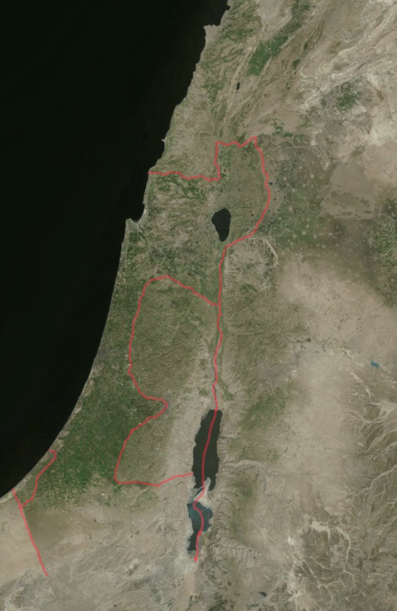 Viktor Barbossa • 🇮🇱 • ויקטור ברבוסה tweet media