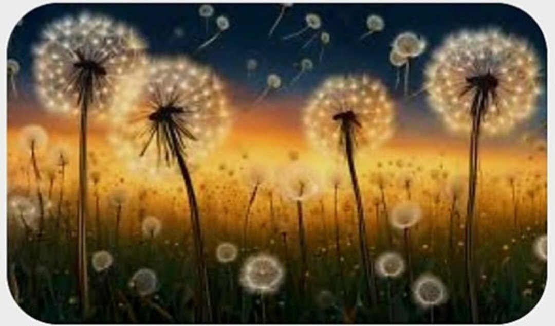 Catherine Beavis tweet media