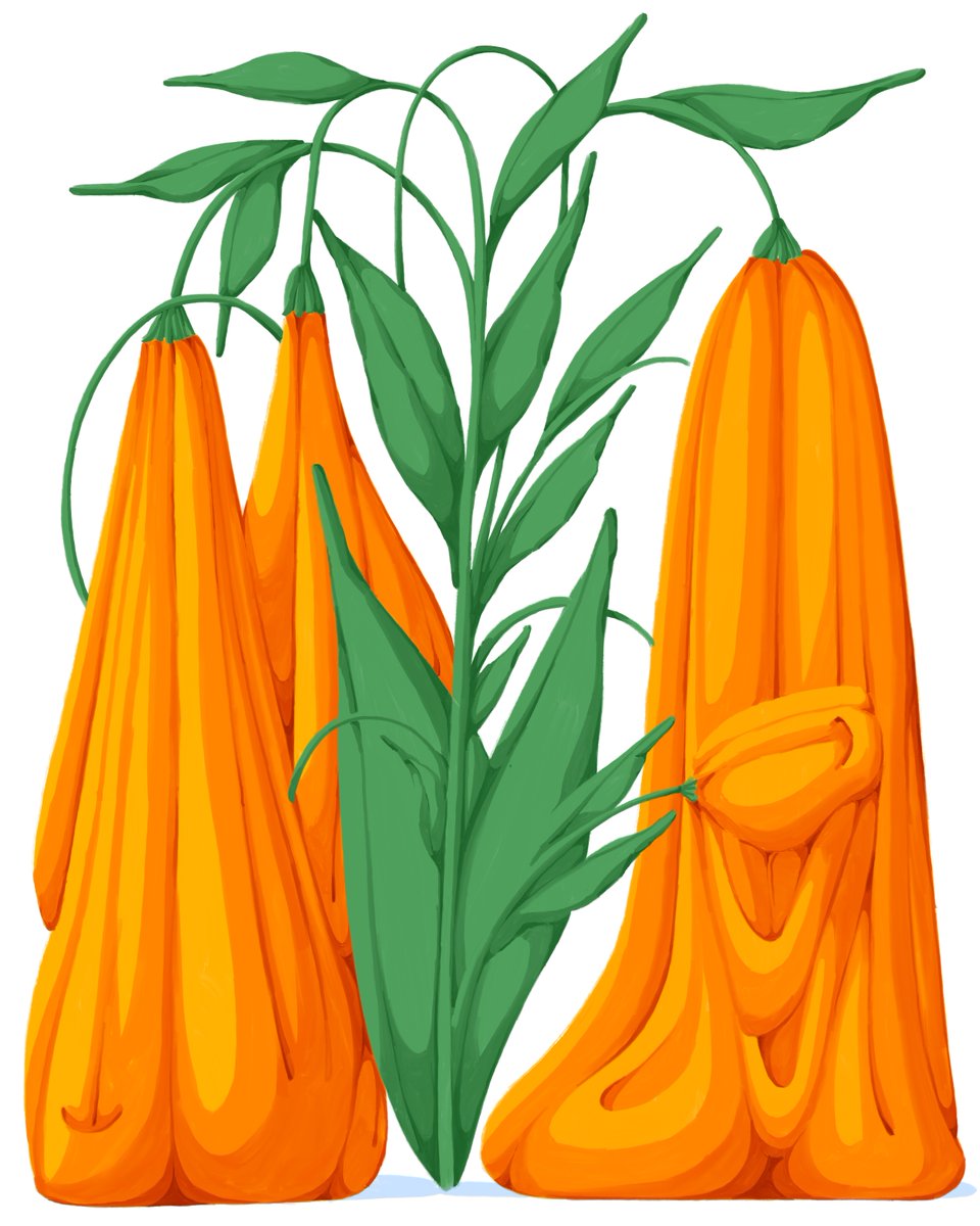 NINFA BOT tweet media