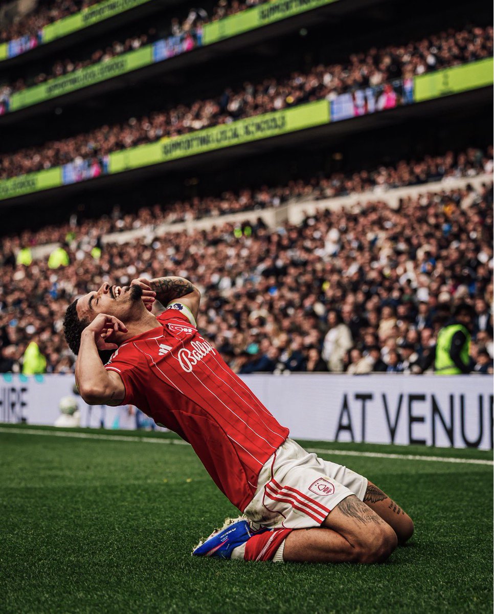 𝑩𝑽𝟕🐍 tweet media