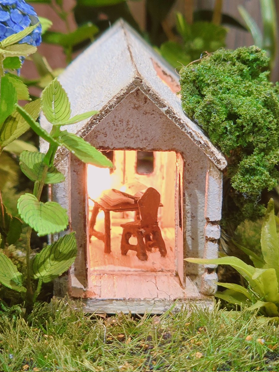 시트러스 tweet media