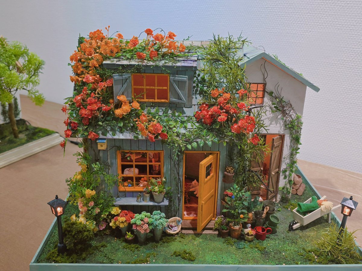 시트러스 tweet media