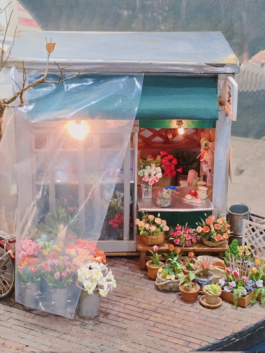 시트러스 tweet media