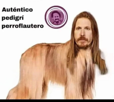 pericos9's tweet photo. @PODEMOS El galgo afgano merece los mismos derechos https://t.co/w3VXy0BV32