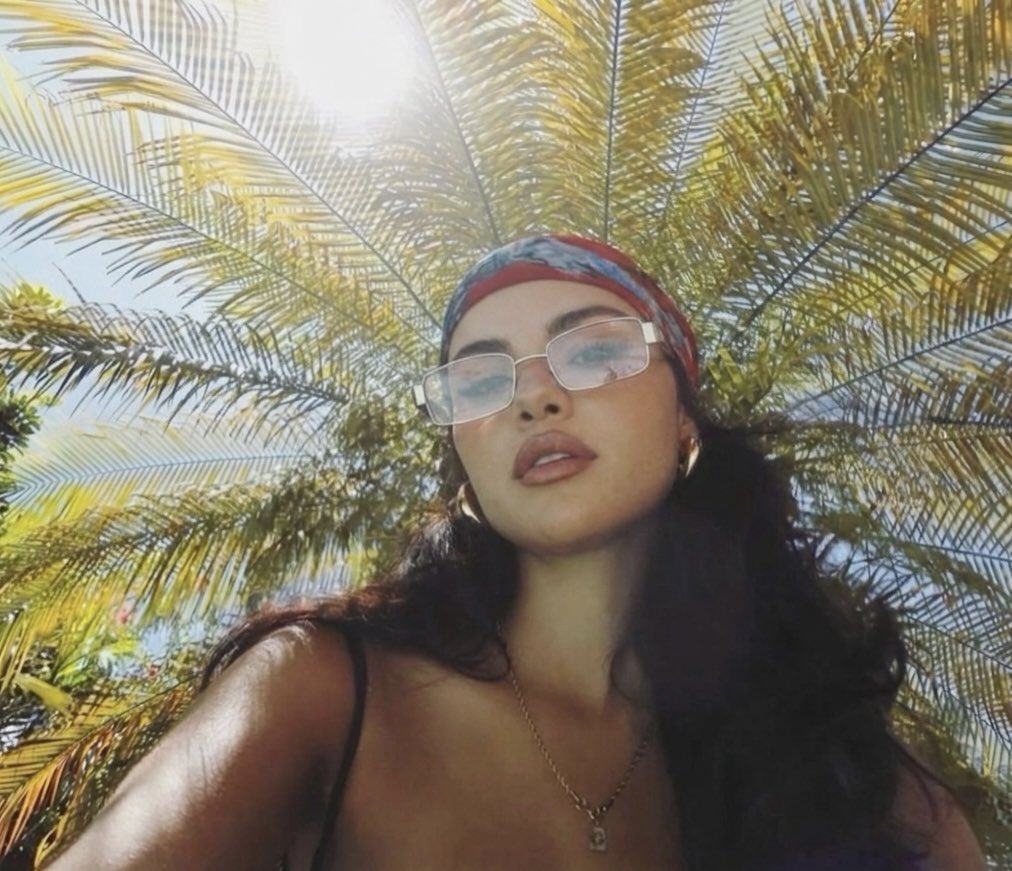 selena’s online lawyer tweet media