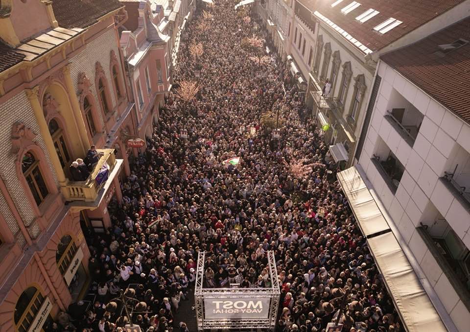 Skogvandrer tweet media