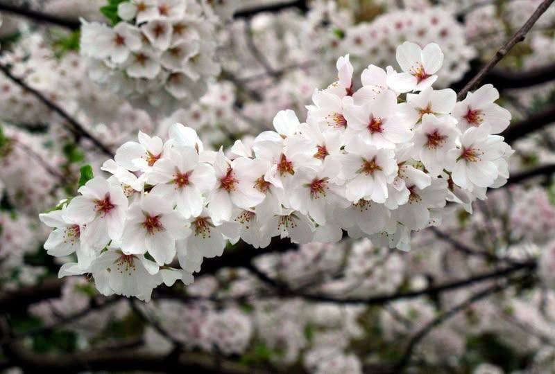 Roy Kelley tweet media