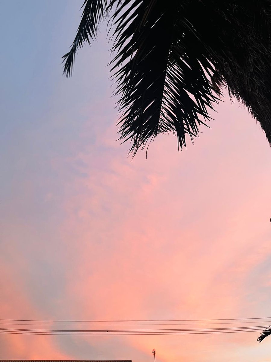 #Revolution tweet media