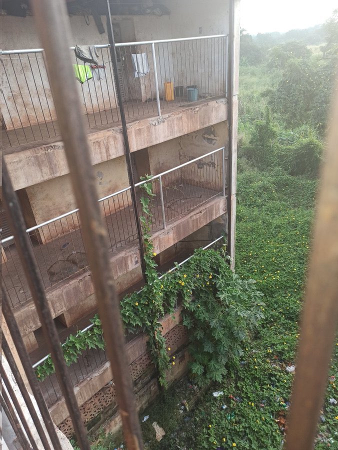 CertifiedEcoTourismDoyenne tweet media