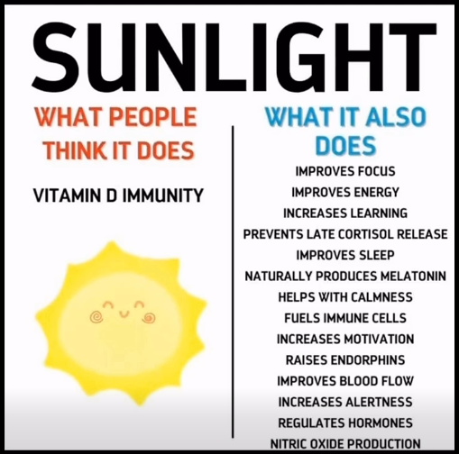 The Danish Patriot 🇩🇰 (@danishthe85157) on Twitter photo 