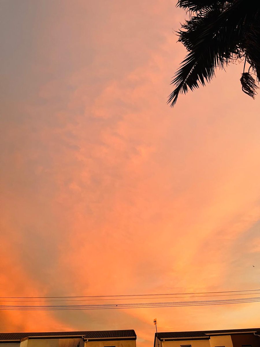 #Revolution tweet media