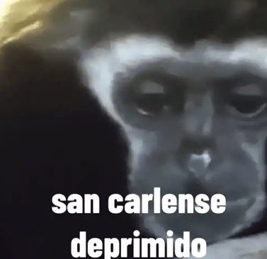 María Jossé España tweet media