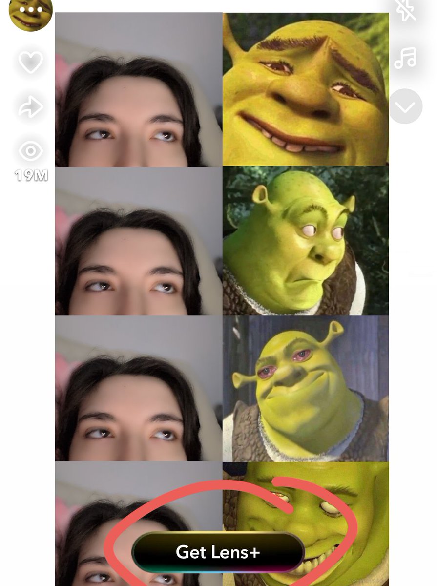chaoticmoongirl's tweet image. first filter I found with it  was Shrek I guess but lmao an example