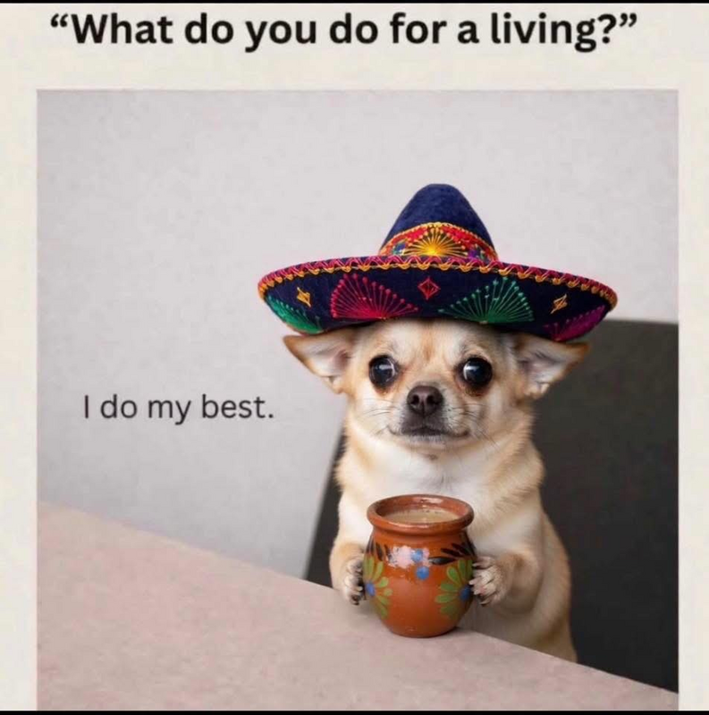 DespicableMemes tweet media